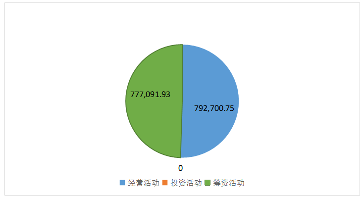 湛江晨鸣浆纸有限公司财务报表分析