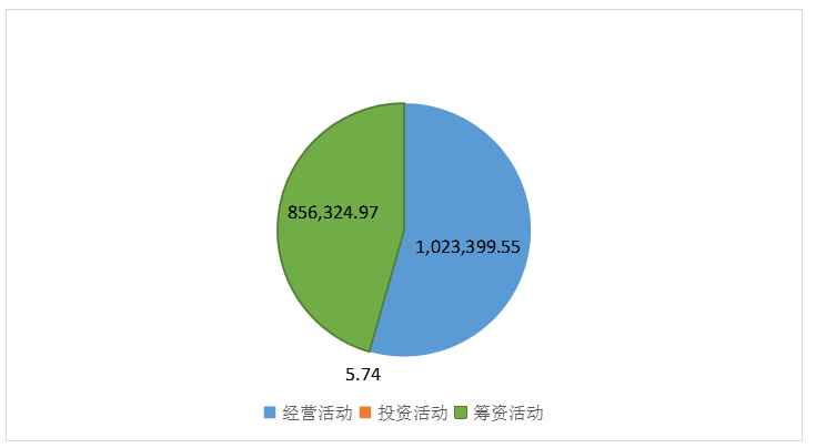 湛江晨鸣浆纸有限公司财务报表分析