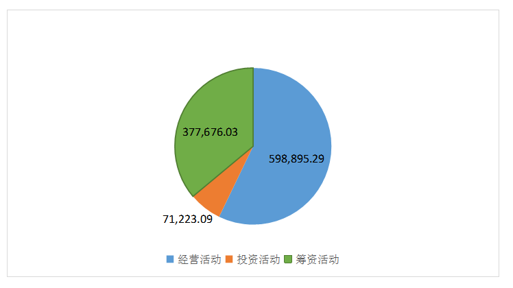 湛江晨鸣浆纸有限公司财务报表分析