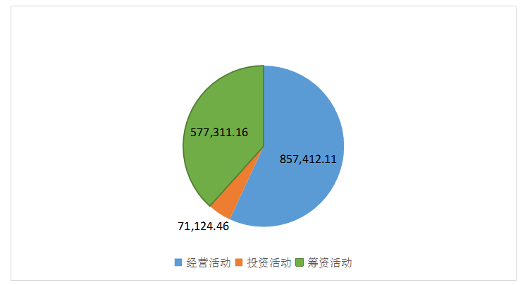湛江晨鸣浆纸有限公司财务报表分析