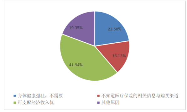 人口老龄化背景下卫生服务可及性与公共卫生政策的选择
