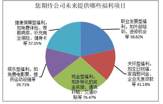 XX公司员工福利存在的问题及对策研究
