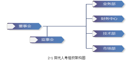 寿险公司财务风险分析及对策研究——以阳光人寿保险公司为例