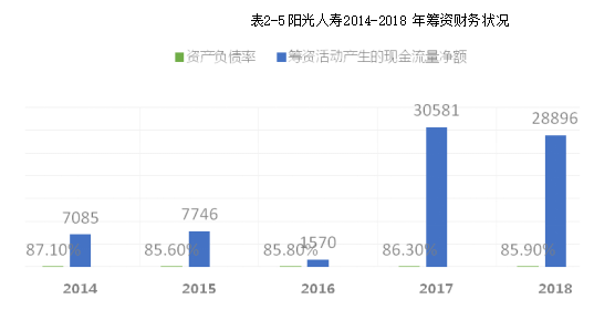 寿险公司财务风险分析及对策研究——以阳光人寿保险公司为例