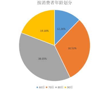 广州震昌汽车用品有限公司营销策略分析