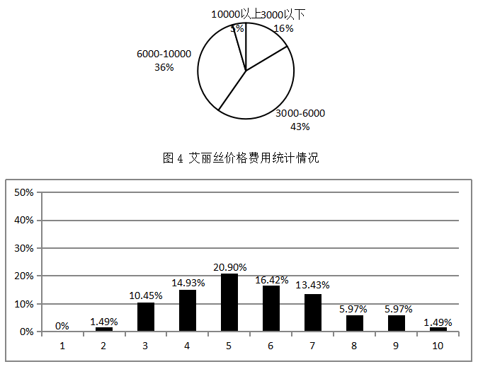 开平艾丽丝国际教育有限公司营销策略研究