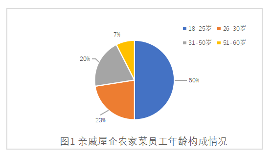 亲戚屋企农家菜员工流失问题的原因及对策
