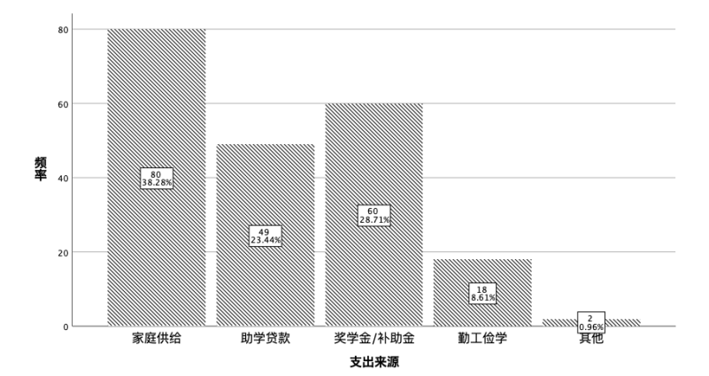 社会工作介入大学生超前消费的研究