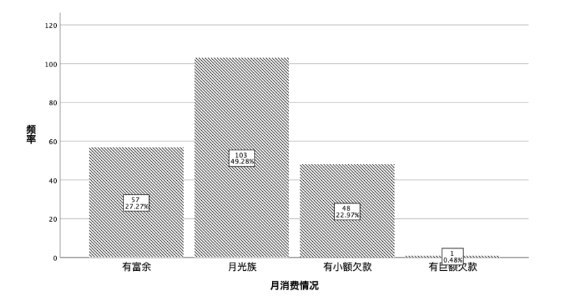 社会工作介入大学生超前消费的研究