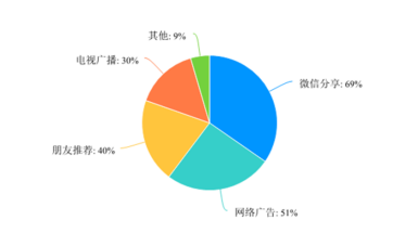 基于社交关系链的拼多多品牌营销分析