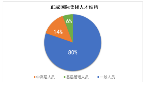 正威国际集团国际化发展展存在的问题及对策