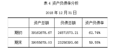 飞达机电配套设备制造有限公司偿债能力分析