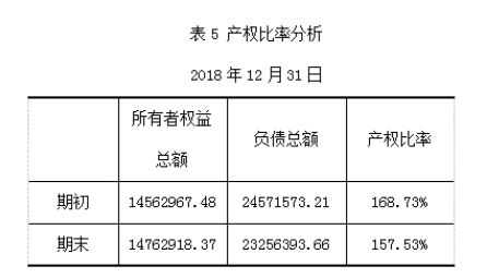 飞达机电配套设备制造有限公司偿债能力分析