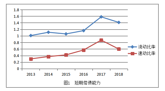 广东威华公司的财务风险与对策分析
