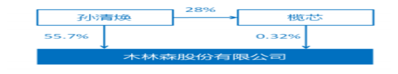 木林森公司股利政策情况分析及对策