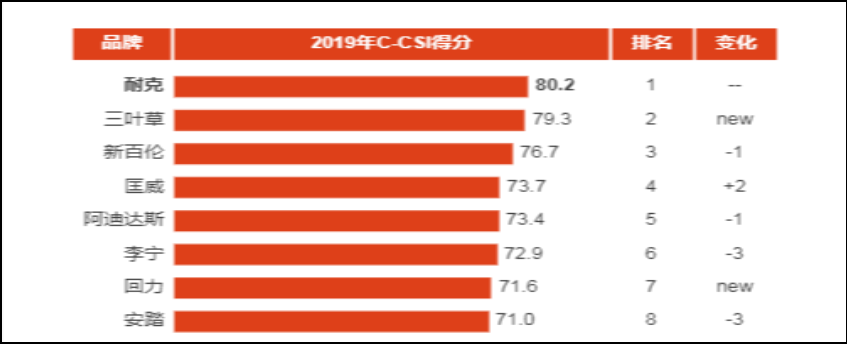 李宁公司发展战略研究