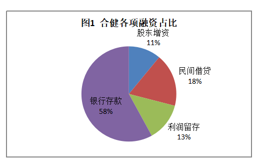 浅析惠州合健融资问题