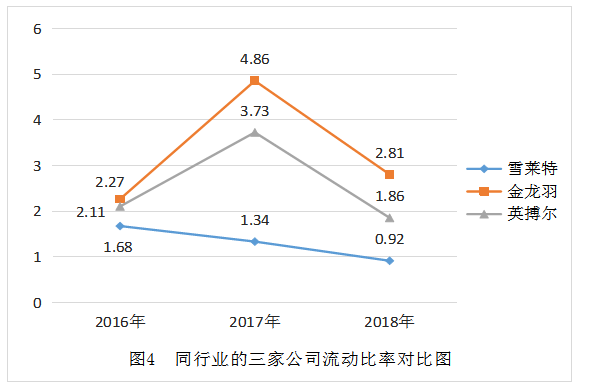 雪莱特公司财务风险分析及对策