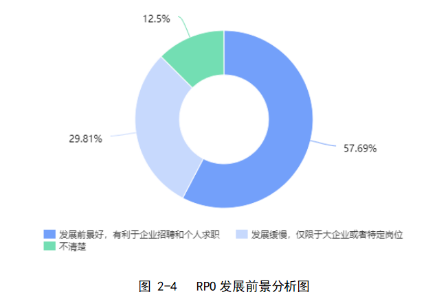 RPO业务的现状及发展策略研析