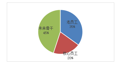 民营企业激励机制与优化策略研究