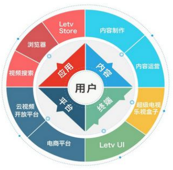 乐视网融资风险管理研究