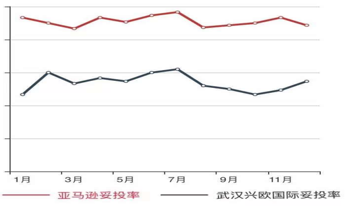 武汉兴欧国际跨境电子商务有限公司跨境电商问题研究