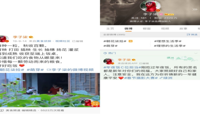 “互联网＋”背景下网红经济模式的市场营销策略研究