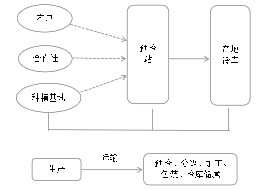 果蔬“最先一公里”冷链物流研究
