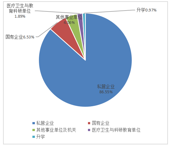 海口经济学院应届毕业生就业质量与问题分析