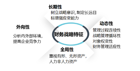 海南双成药业股份有限公司财务战略发展研究