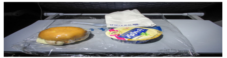 低成本航空公司餐食合理化研究