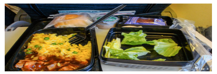 低成本航空公司餐食合理化研究