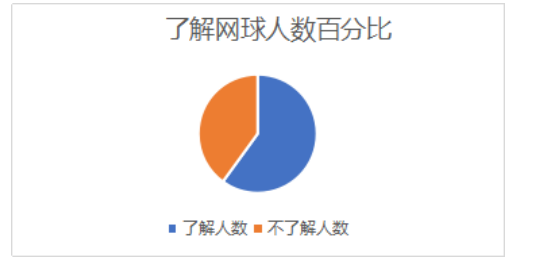 厦门网球市场的发展现状调查研究