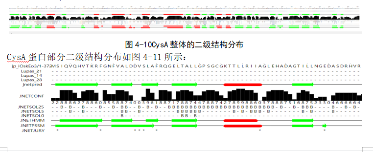 青枯菌CysA蛋白功能的生物信息学研究