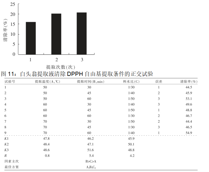 白头翁提取工艺研究进展