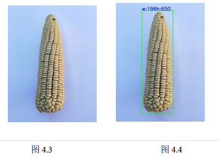 粮仓玉米抽样检测分级系统设计