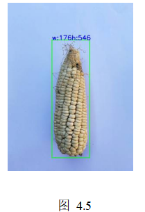 粮仓玉米抽样检测分级系统设计