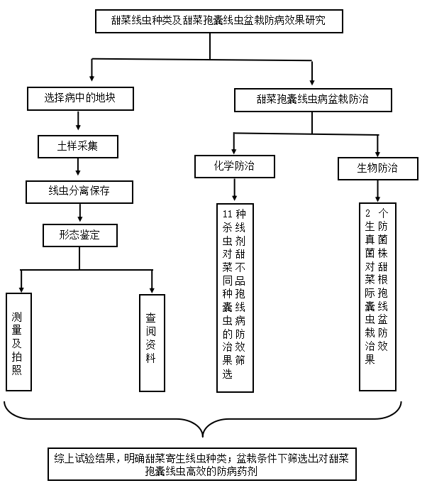 新疆甜菜寄生线虫种类及甜菜孢囊线虫防病药剂的 盆栽效果研究