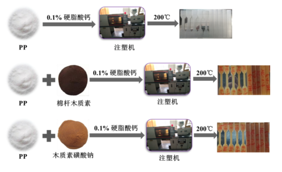 棉杆木质素抗氧化性能的改性及对PP抗氧化规律的研究