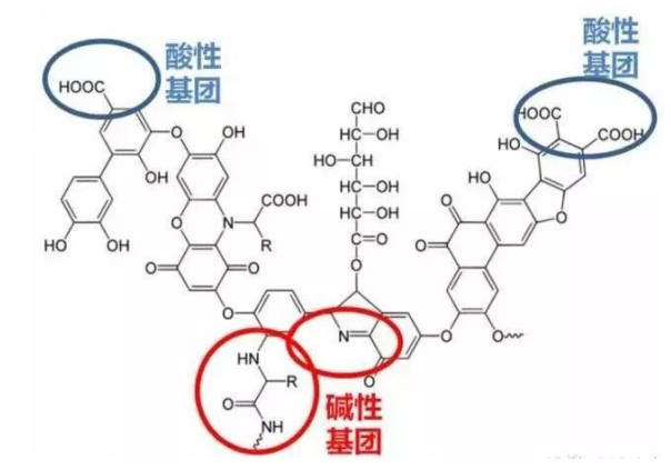 褐煤制腐植酸方法及性能研究