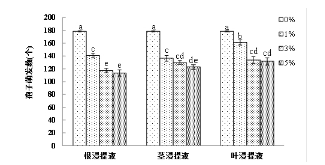 云麻1号浸提液对辣椒炭疽病菌的影响