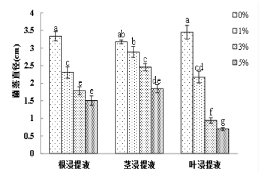 云麻1号浸提液对辣椒炭疽病菌的影响