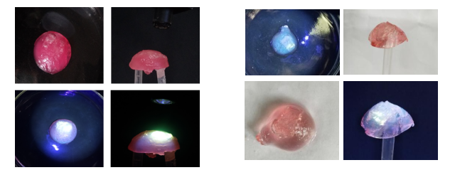 基于超分子荧光组装体的温敏水凝胶驱动器