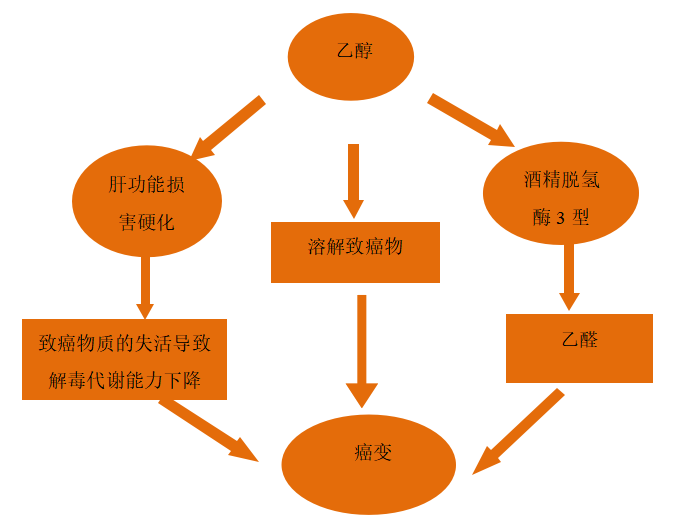 口腔癌发病的相关因素及其分子生物学机制研究进展