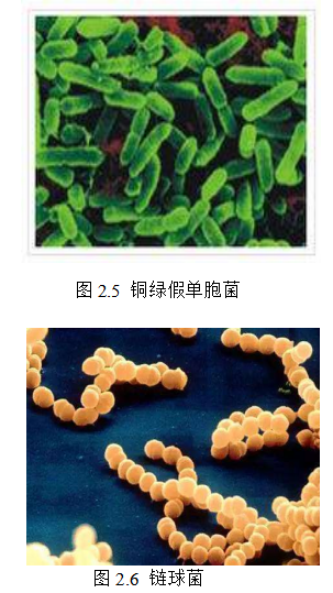 口腔癌发病的相关因素及其分子生物学机制研究进展