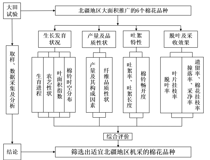 北疆地区不同棉花品种机采性能综合 评价研究