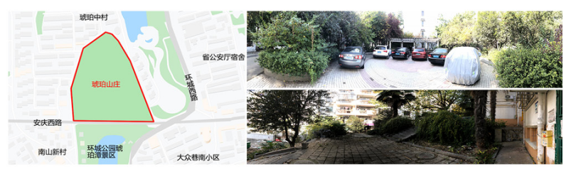 合肥市居住区树木健康评价研究