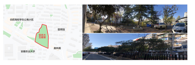 合肥市居住区树木健康评价研究
