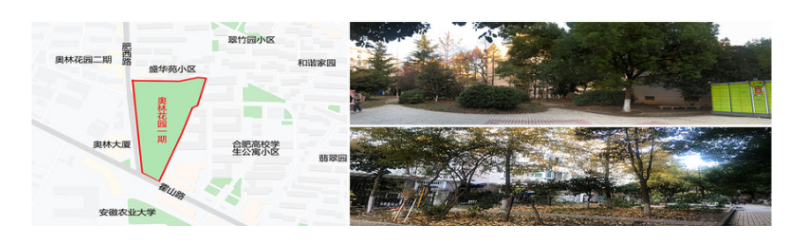 合肥市居住区树木健康评价研究