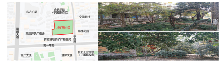 合肥市居住区树木健康评价研究